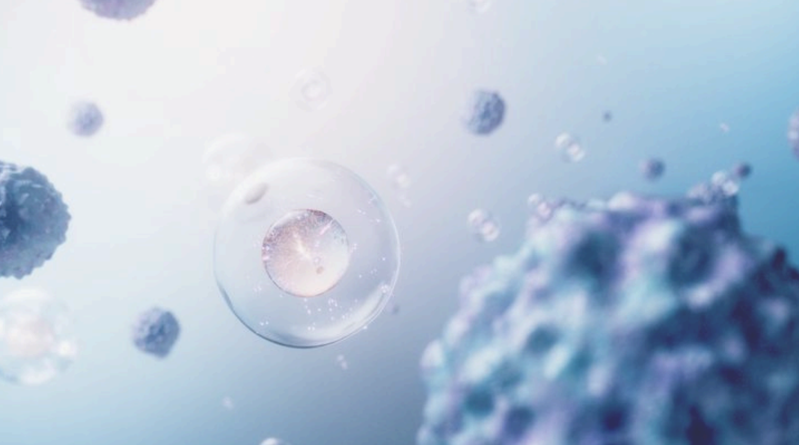 Medicina Regenerativa